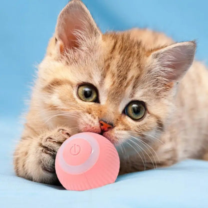 Rechargeable Cat Ball Toy Smart Automatic Rolling Kitten Toys 360 Degree Spinning Ball for Cats Usb Rechargeable Pet Toys