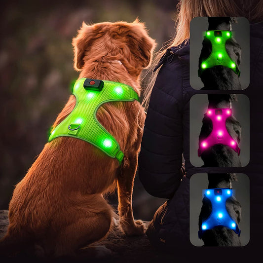 LED Dog Harness, Lighted up USB Rechargeable Pet Harness, Illuminated Reflective Glowing Dog Vest Adjustable Soft Padded No-Pull Suit for Small, Medium, Large Dogs (Green, S)